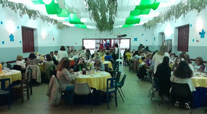 DIA INTERNACIONAL DA MULHER